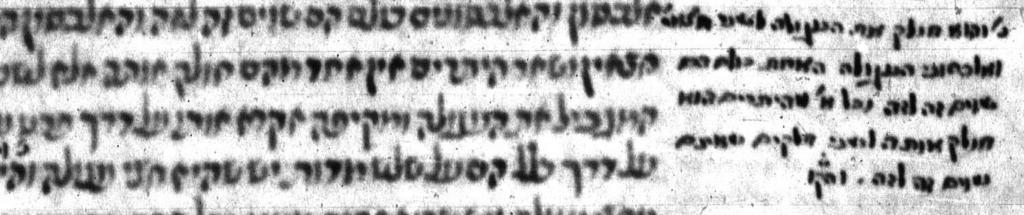 Main text: 14 th 15 th century Sephardic Gloss: Probably Italian, 15 th C Editorial work done in Italy on Hebrew scientific works & manuscripts from Iberia Parma 3165, folio 6b, detail נ' והוא חולק