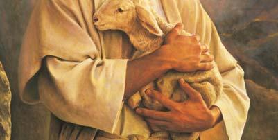 Here, after His resurrection, Jesus met with His disciples and told Peter to feed my lambs; feed my sheep. [John 21:9].