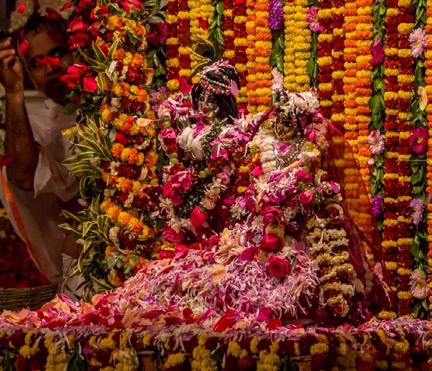 Especially the Pusya Abhiseka festival, where the Lord is bathed in soft, cooling petals of fragrant flowers. These festivities bring us closer to the mood of Vrindavana.