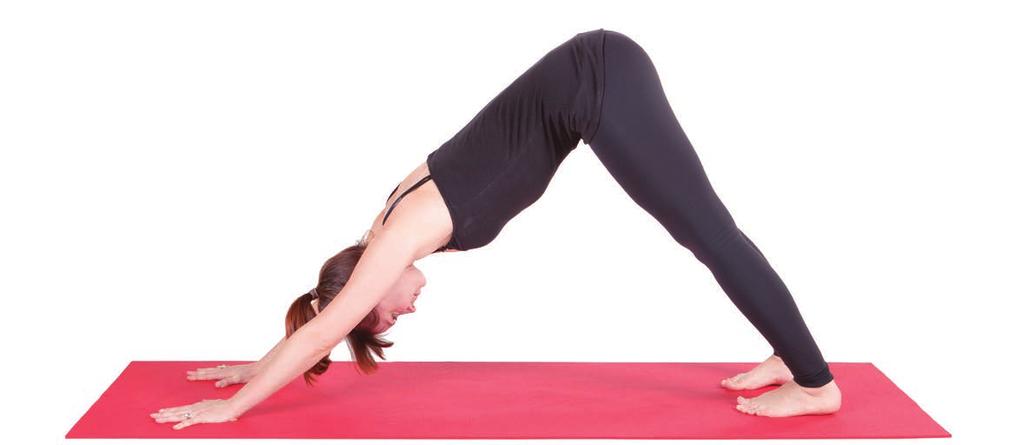 Adho Mukha Svanasana: Downward Facing Dog Pose People who walk their dogs in the morning start their day by getting outside and walking upon the earth.