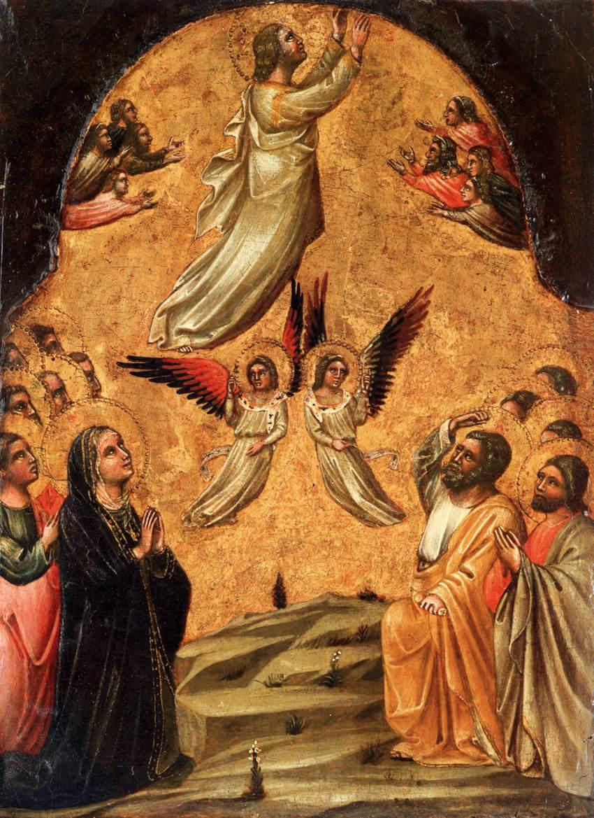Guariento d'arpo, Ascension of Christ, c. 1344 Solemnity of the Ascension of the Lord O Victor King, Lord of power and might, today you have ascended in glory above the heavens.