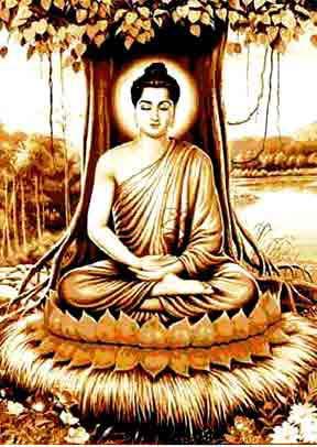 Kakacupama Sutta The Simile of the Saw Translated from the Pali by Thanissaro Bhikkhu.