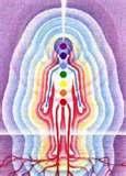 CHAPTER 4 - AURAS What is an AURA? First things first. A basic answer is that the aura is a living energy field that surrounds all living creatures. We are all made up of energy and light.