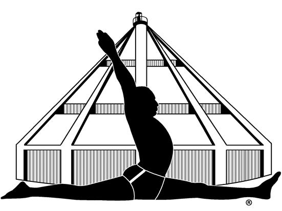 Iyengar Yoga Association Constitution Guide ETHICAL GUIDELINES FOR IYENGAR YOGA TEACHERS 1 The Directors of the BKS Iyengar Yoga Association Holland hereby announce, pursuant to Associations Bylaws,