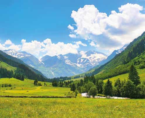 lakes for swimming, quiet forests, green meadows and mountain pastures with a view of the Alps (Wild Kaiser mountain range). Immerse yourself in the integral yoga practice.