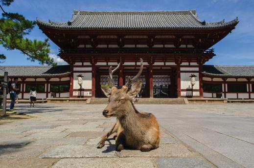 During the Nara period (710-84) Buddhism had become a state religion.