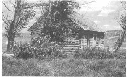 124 HISTORY OF DUCHESNE COUNTY Lot Powell homestead in Altonah. Log homes were common in Duchesne County through the 1930s. (Allan Kent Powell) the birthing bed during the delivery.