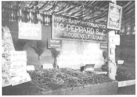 216 HISTORY OF DUCHESNE COUNTY Duchesne County Fair Display by the Peppard Seed Company, circa 1920. (Uintah County Library-Regional History Center) especially dairy products and red meat.