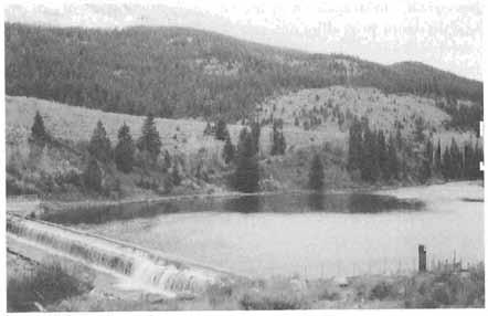 FROM SETTLEMENT TO THE GREAT DEPRESSION IN ONE GENERATION 227 R.E.A. Dam on the Yellowstone River. (lohn D. Barton) and no one well enough to dig a grave.