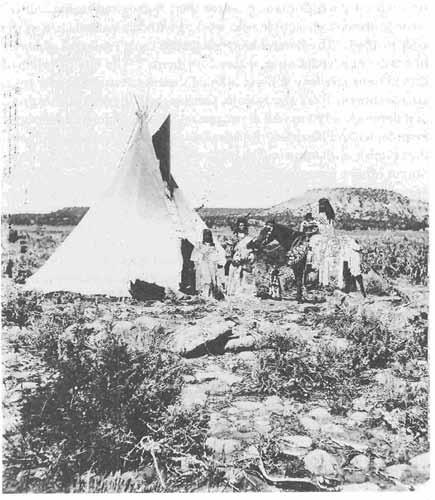 UTE LANDS AND PEOPLE 43 Ute lifestyle rapidly changed after they acquired horse, including use of lodges (tepees) instead of the smaller
