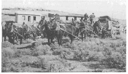 EARLY ROADS, GRAZING AND SCHEMERS, AND OUTLAWS 71 Freighters hauling Gilsonite to the railhead at Price before the Uintah Railroad was completed in 1904.