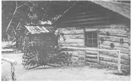 EARLY ROADS, GRAZING AND SCHEMERS, AND OUTLAWS This peacock at the Nutter Ranch struts in front of the blacksmith shop and log building that was once the saloon where Pete Francis was killed in a