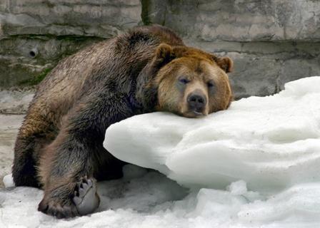 A Bearish Day Could bearly
