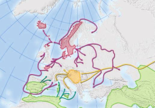 Invasions of Europe, 800 1000 Settlements and invasion routes: Magyars 70 N Muslims Vikings ICELAND ARCTIC CIRCLE N Viking ship 0 500 miles W E 0 500 kilometers Lambert Azimuthal Equal-Area