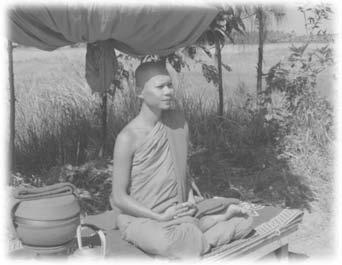 When the world is seen according to reality, the Vision of Dhamma arises. This is a profound transformation.