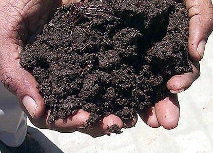 Soil bacteria *A survey of soils from six continents showed that only 2% of all the bacterial taxa account for nearly one-half of the soil bacteria from around the world.