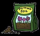 or green beans) Potting Soil Water Here is a fun