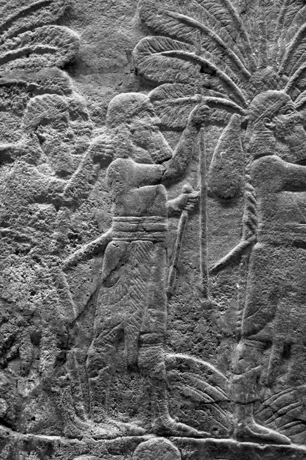 114 J. NOVOTNY AND C. E. WATANABE Fig. 14 The third item of Šamaš-šumu-ukı:n s regalia: the staff. BM ME 124945 upper row, from Nineveh, North Palace, Room M. The British Museum.