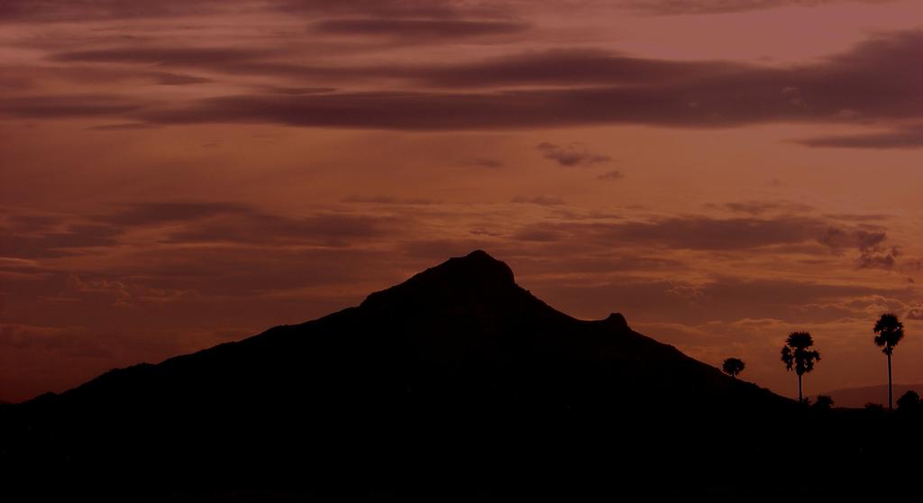 Let me, Thy prey, Surrender unto Thee and be consumed, and so have peace, Oh Arunachala!