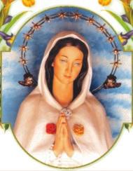 WEEK: Debt Reduction & CRSC Devotion to Maria Rosa Mystica
