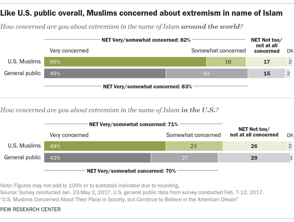 9 Overall, eight-in-ten Muslims (82%) say they are either very concerned (66%) or somewhat concerned (16%) about extremism in the name of Islam around the world.