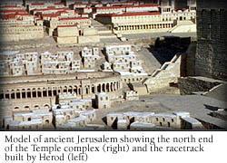 Temple Polluted by Romans Herod s appointed