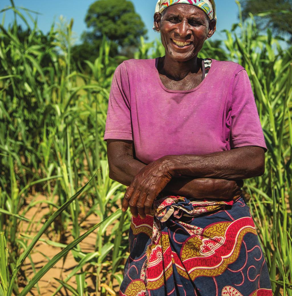 Now she can continue earning money as one of the few rice farmers in her village, but also feel confident that, even if her rice fails, she will have other crops to sell.