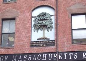 Today, there are two memorials to honor our first liberty tree.