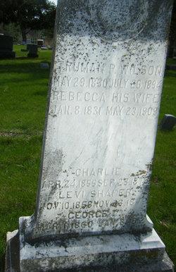 Stone of Truman Wilson, son of