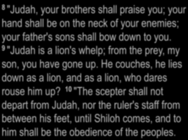 " Genesis 49:8-10 8 "Judah, your brothers shall praise you; your hand shall be on the neck of your enemies; your father's sons shall bow down to you.