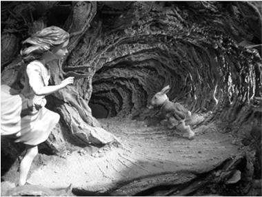Looking for a Cause Looking for a cause of your problems is like Alice chasing down the rabbit hole.