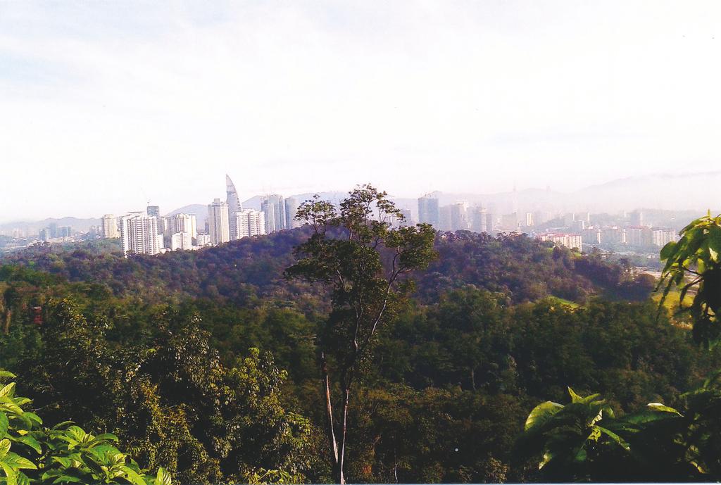 Many of us members live in Kuala Lumpur or Petaling Jaya (or in the Klang Valley) may have heard of Bukit Gasing, but how many have visited or hiked in this quaint forest park,