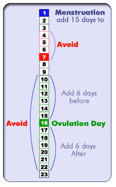 Let s Look At A Pregnancy Time Line If your cycles are very regular, you may be able to determine when you ovulate: in the average menstrual cycle, ovulation occurs 14 days