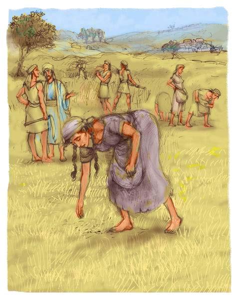 Ruth 2 Fields of Boaz Ruth accidentally comes to glean barley in Boaz field Boaz is associated with Beyt Lechem