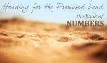 A Review of What We Did Last Week Lesson 5 in the Workbook / Numbers THROUGH THE BIBLE October 11, 2017 DEUTERONOMY Page 32 Why was it so important that God show support for his chosen leaders?