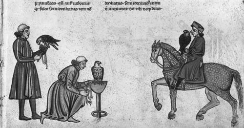 Life in the Middle Ages: Recreation Life in the Middle Ages: Recreation Entertainment for the Nobles People of the Medieval period looked for ways to enjoy themselves.