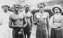 The Congo Free State Revolt broke out. Leopold sent troops into villages to exterminate the young men.