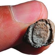 Many of the Hebrew seal impressions found within the debris had been stamped on soft-clay bullae about 1 cm in diameter with an inscribed seal bearing the name of its owner.
