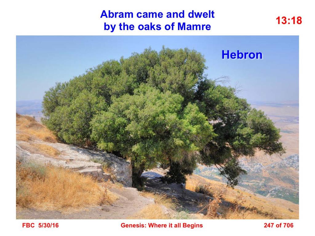18 Then Abram moved his tent and came and dwelt by the oaks of Mamre, which are in Hebron, and there he built an altar to the LORD (Gen. 13:18).
