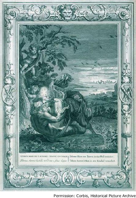 This engraving by French artist Bernard Picart (1673 1733) depicts Tithonus turning into a cicada. His lover, Eos, looks on helplessly she condemned him to eternal life.