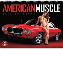 1709 American Splendor Muscle cars in
