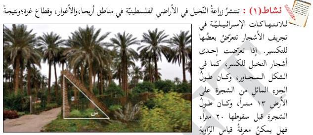 "Activity 1: Palm tree growing is prevalent in the Palestinian lands in the regions of Jericho, the Jordan Valley and Gaza.