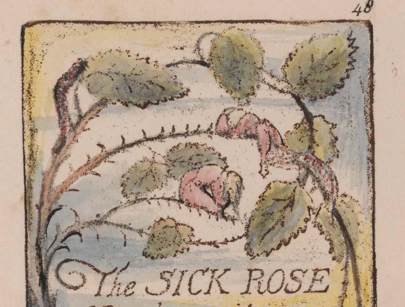 The Sick Rose O Rose thou art sick. The invisible worm.