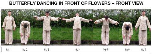 Butterfly Dancing In Front Of Flowers (Level 1) -continued 1. Stand in an upright, balanced posture (wuji stance). Relax your body, let go of any emotions and clear your mind of all thoughts (fig 1).