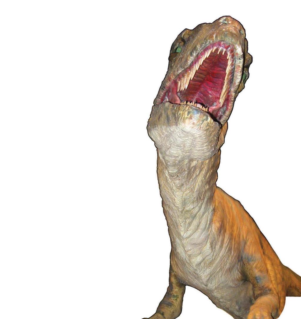 dinosaur models are guaranteed to fascinate everyone!