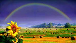 The Third Sin Story The story ends with a bow being placed in the sky (9:13) We think rainbow, but the bow is a weapon God will not fight to