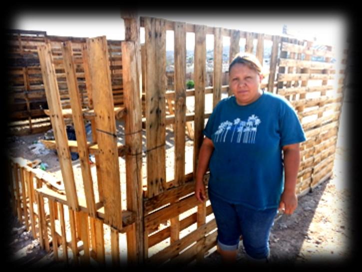 The problem is that she was required to occupy the property in a very short time. Therefore she began to build a house out of pallets.