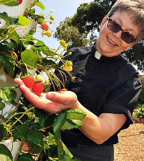 Paul s Church, Tustin, parishioners tend Gordon s Garden, from which fresh produce is added to the parish s Sunday Supper meals.