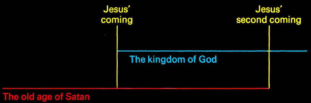 The Wheat and the Weeds Interpretation But Jesus is saying that during the period of growth, the