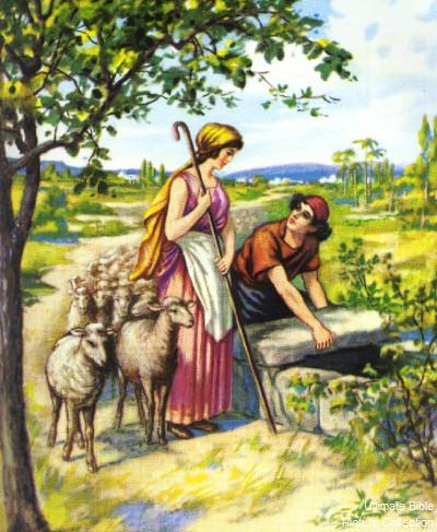 The Well Jacob refers to the Lord Christ, who came to the world to acquire the true Rachel -- the Church of the New Testament He came to the field, namely to the world